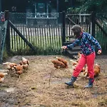 Hoeve Aan De Berkel
