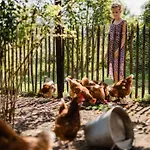 Hoeve Aan De Berkel