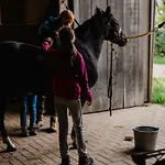 Hoeve Aan De Berkel