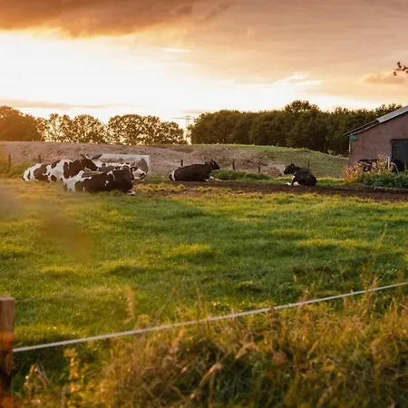 Hoeve Aan De Berkel * Lochem