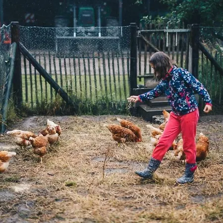 Hoeve Aan De Berkel