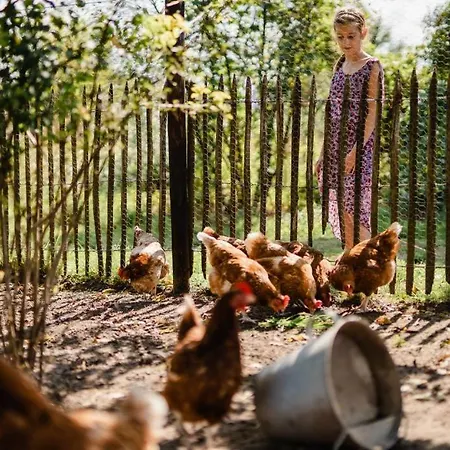 Hoeve Aan De Berkel